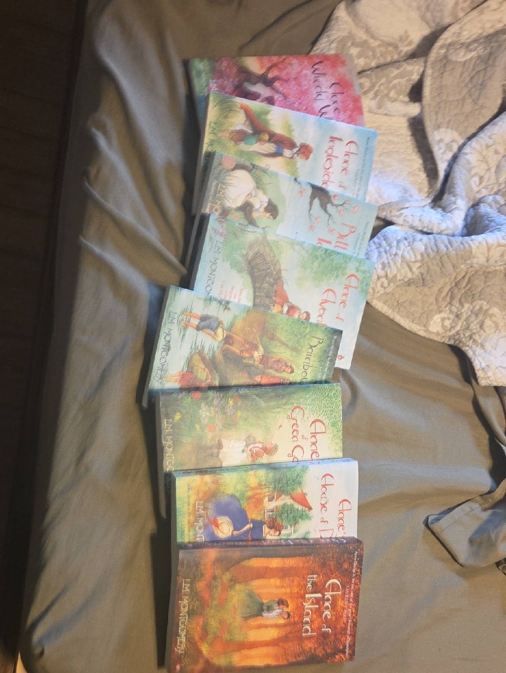 Anne of Green Gables Book Set - Assorted Color Covers